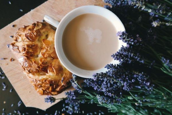 Explore the Best Danish Pastries in Denmark: A Delicious Journey Through Tradition